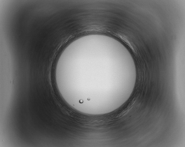 X0000100330495200806051206