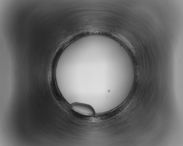 X0000100330496200806051206