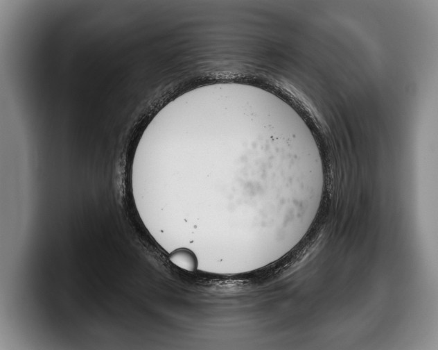 X0000100330497200806051206