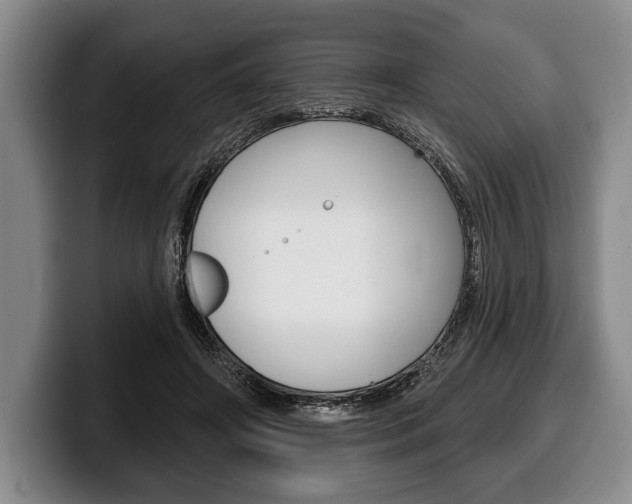 X0000100330498200806051206