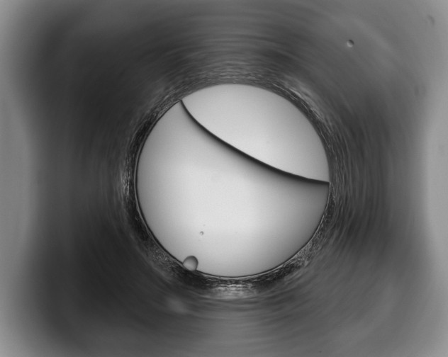 X0000100330499200806051206