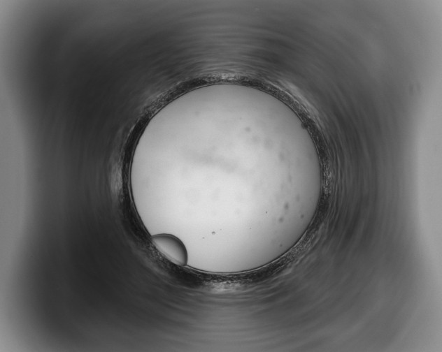 X0000100330500200806051206
