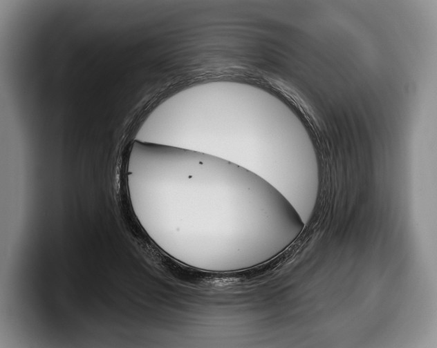 X0000100330501200806051206
