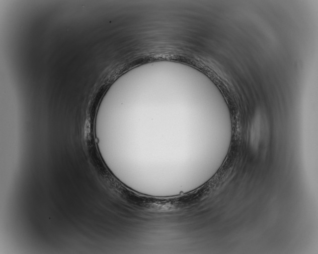 X0000100330502200806051206