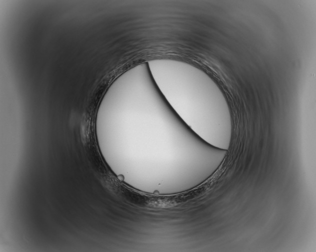 X0000100330503200806051206