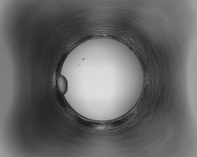 X0000100330504200806051206