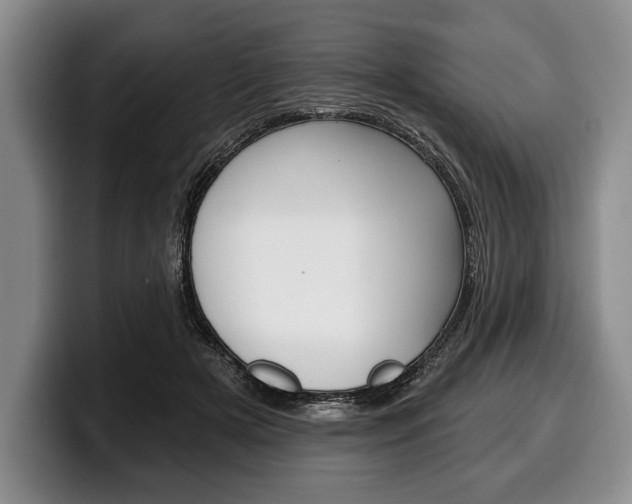 X0000100330505200806051206