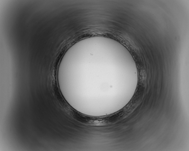 X0000100330506200806051206