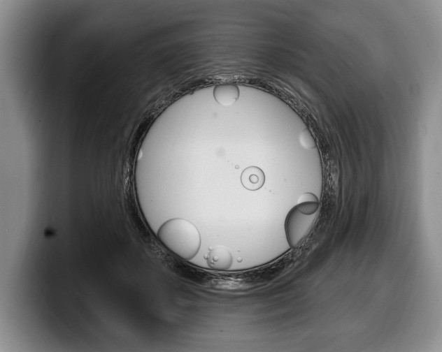 X0000100330507200806051206