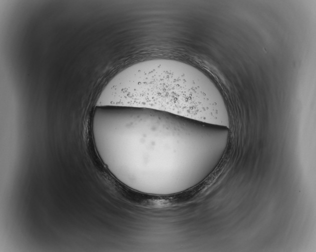 X0000100330509200806051206