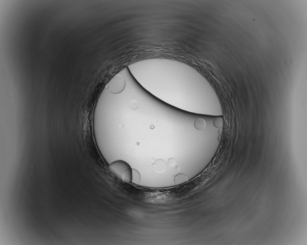 X0000100330511200806051206