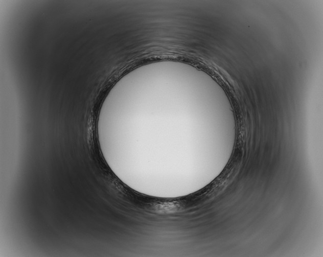 X0000100330513200806051206