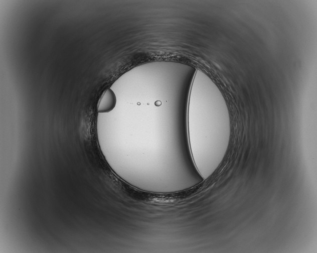 X0000100330515200806051206