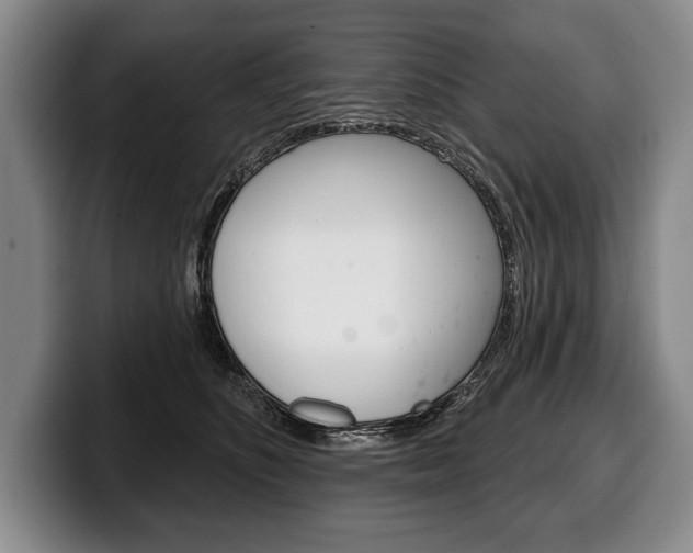 X0000100330516200806051206