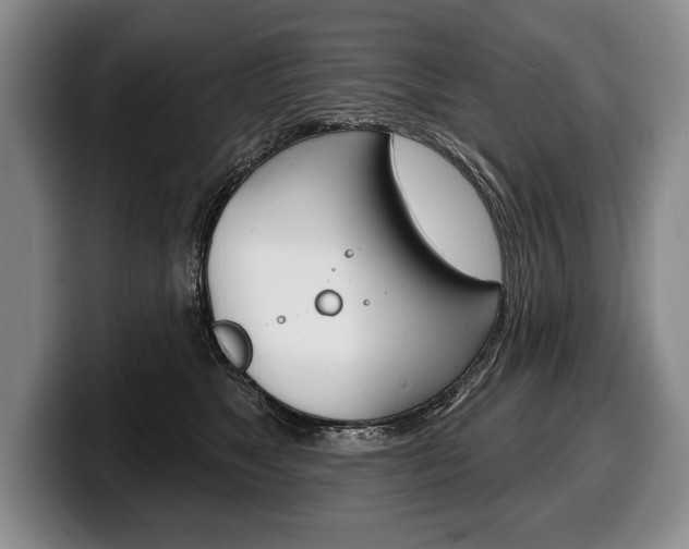 X0000100330517200806051206