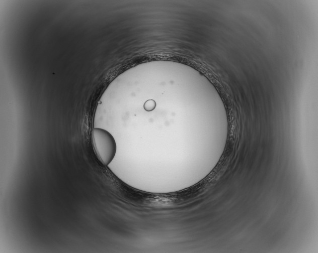X0000100330518200806051206