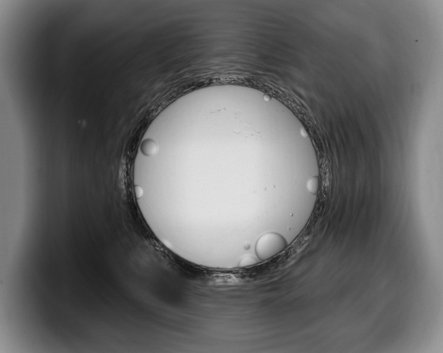 X0000100330519200806051206