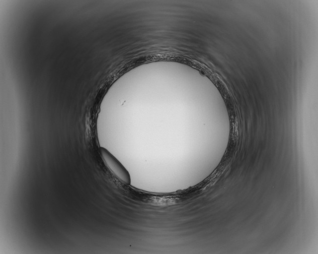 X0000100330520200806051206