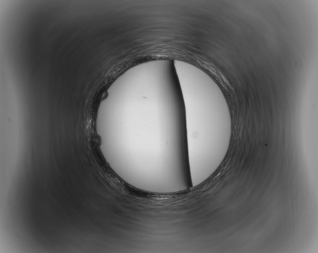 X0000100330521200806051206