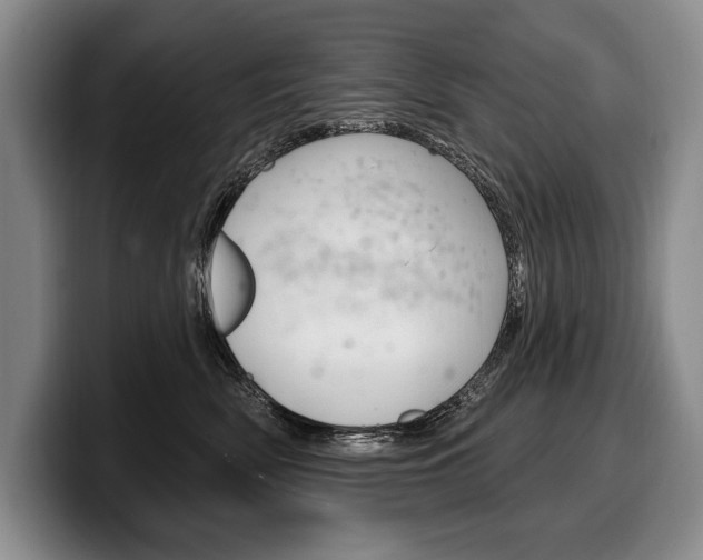 X0000100330522200806051206