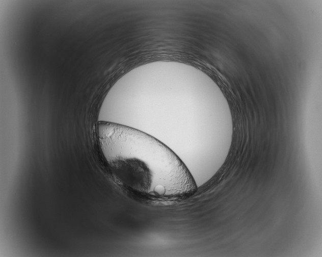 X0000100330523200806051206