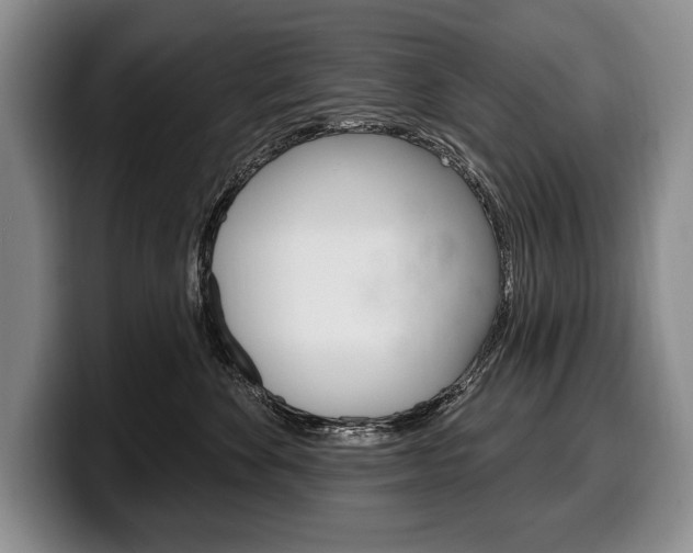 X0000100330524200806051206