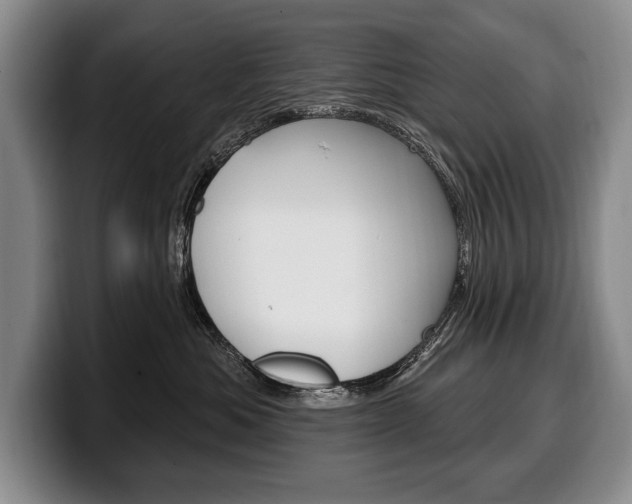 X0000100330525200806051206