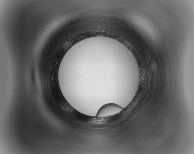 X0000100330526200806051206