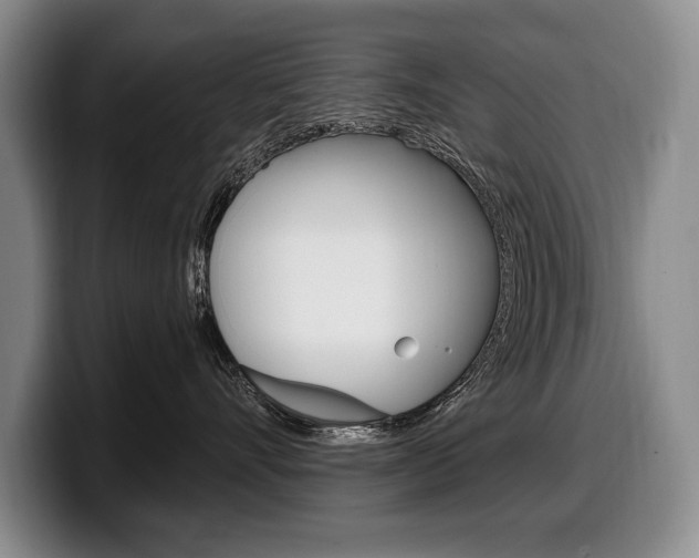 X0000100330528200806051206