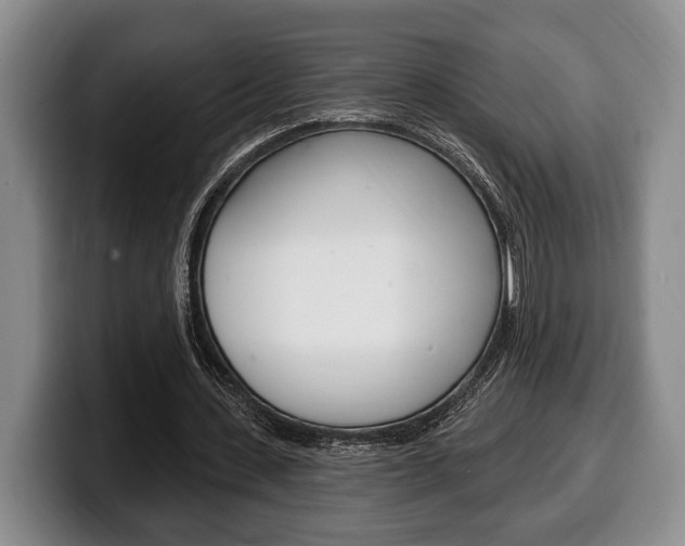 X0000100330531200806051205