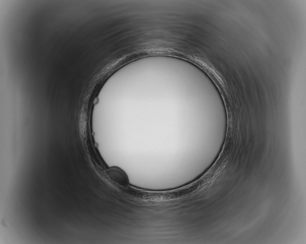 X0000100330533200806051205