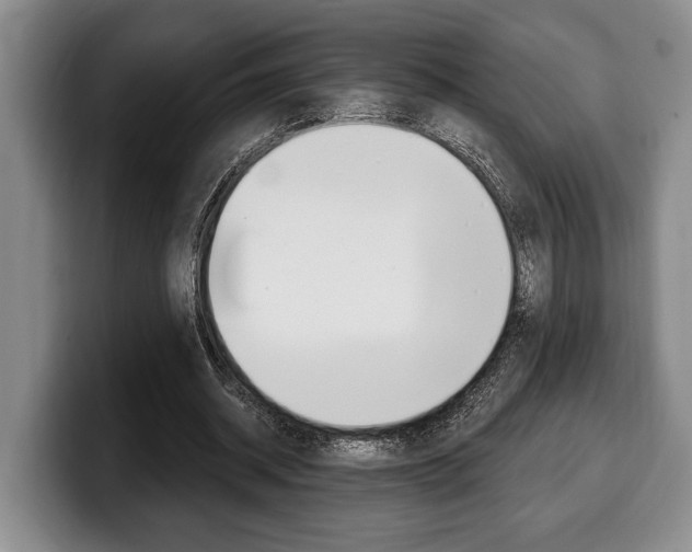 X0000100330534200806051205