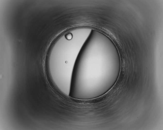 X0000100330535200806051205