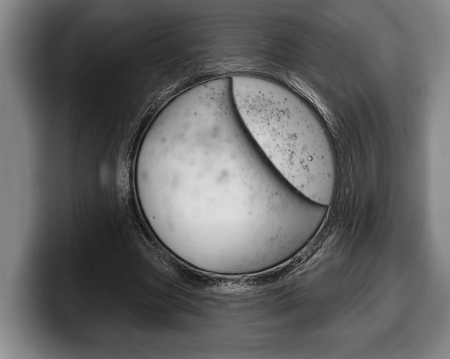 X0000100330537200806051206