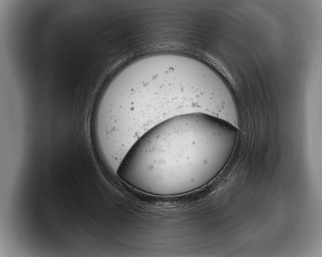 X0000100330538200806051206