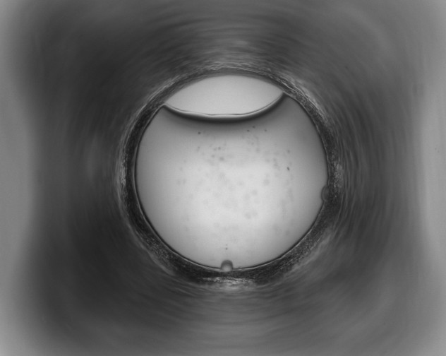 X0000100330539200806051206