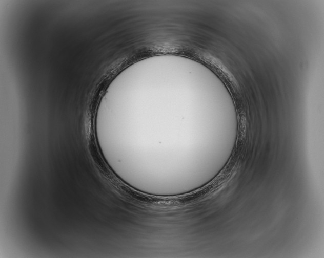 X0000100330541200806051206