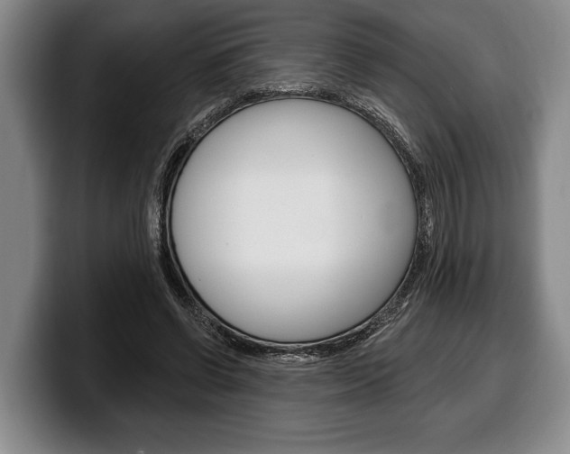 X0000100330542200806051206