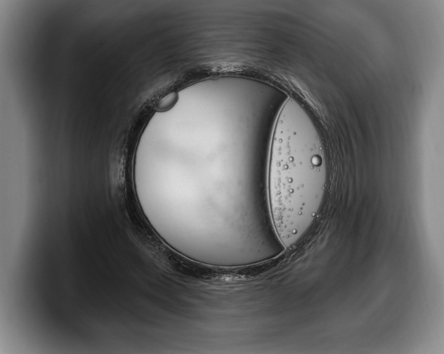 X0000100330543200806051206