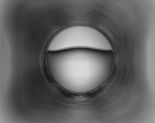 X0000100330544200806051206