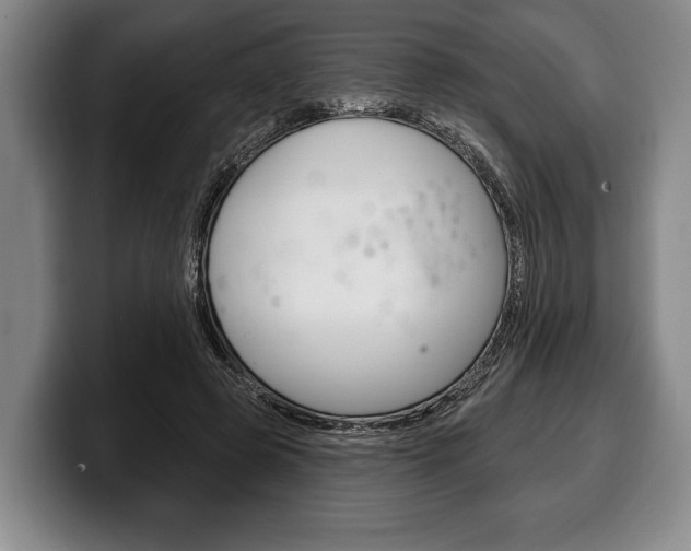 X0000100330545200806051206