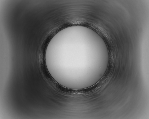 X0000100330547200806051206