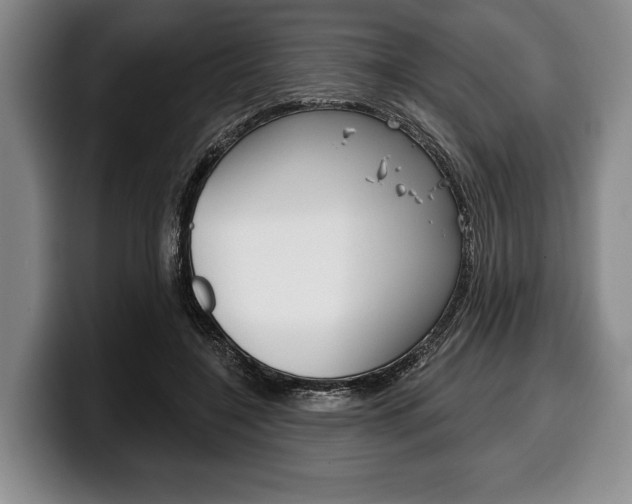 X0000100330548200806051206