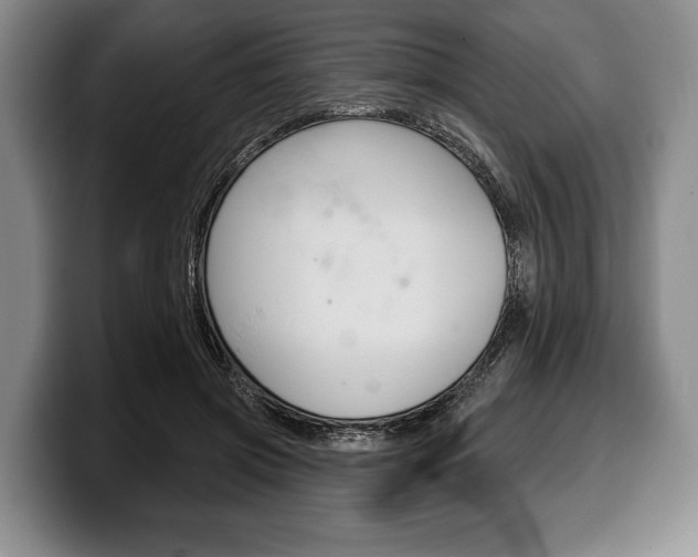 X0000100330549200806051206