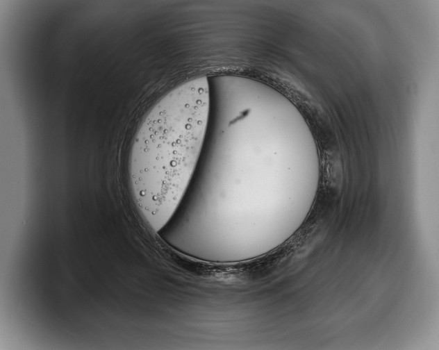 X0000100330550200806051206