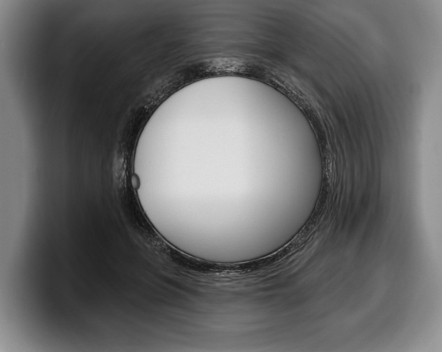 X0000100330551200806051206