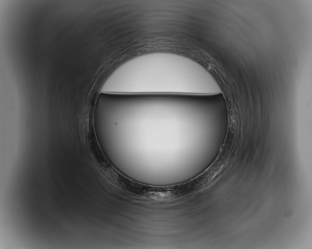 X0000100330552200806051206