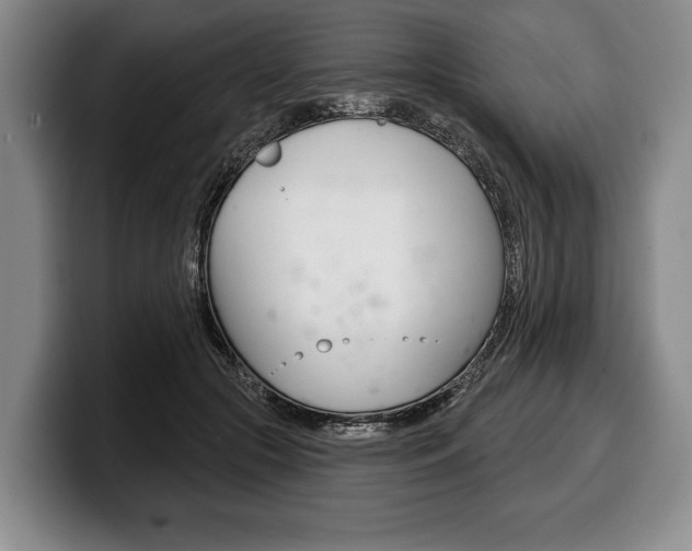 X0000100330553200806051206