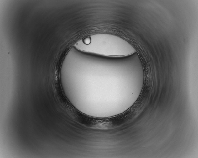 X0000100330555200806051206