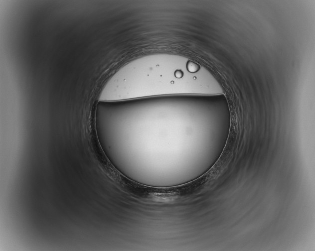 X0000100330556200806051206